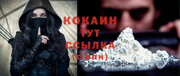 крисы Белокуриха