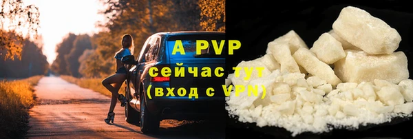 крисы Белокуриха