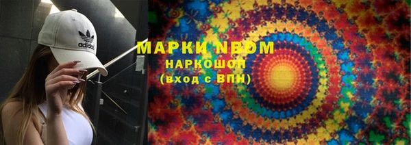 крисы Белокуриха