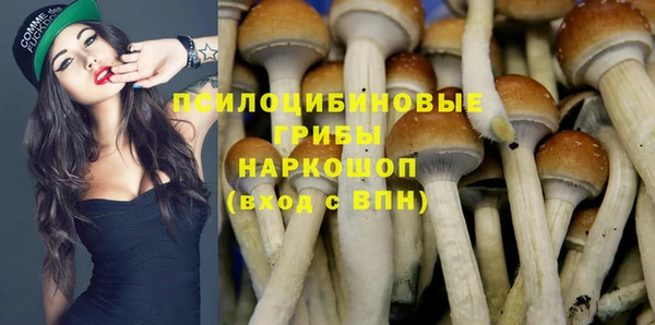 дурь Белоозёрский