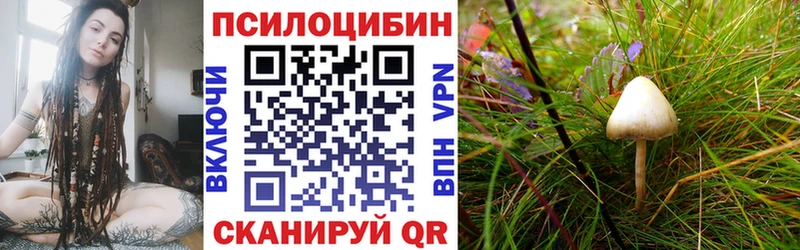 Псилоцибиновые грибы Magic Shrooms  Елабуга 